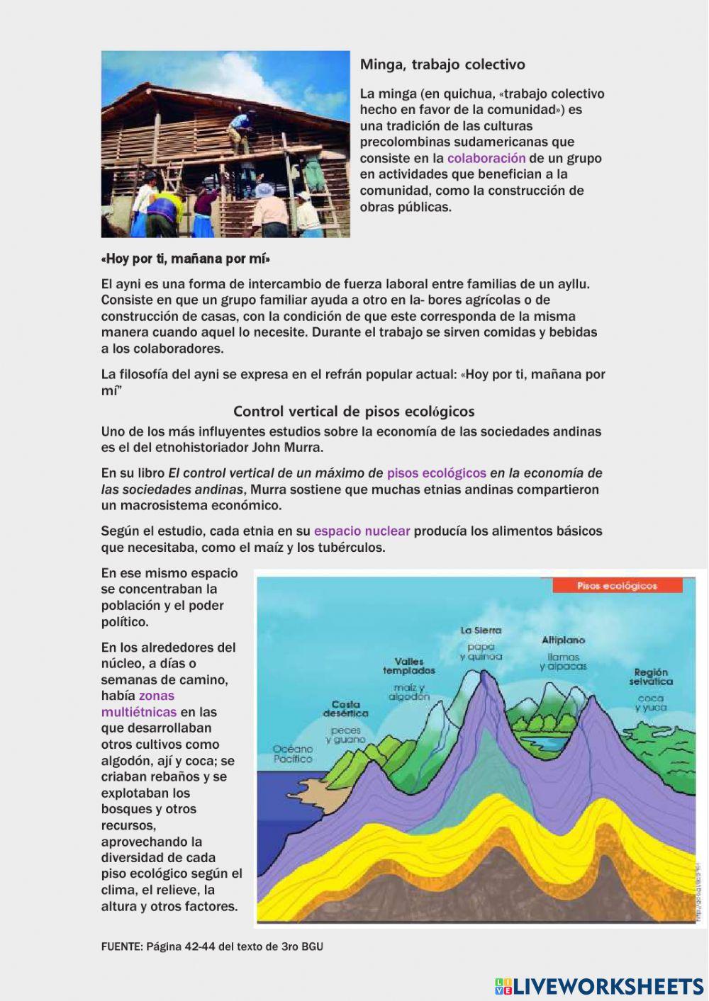 S1 La organización de las culturas andinas 3 bgu