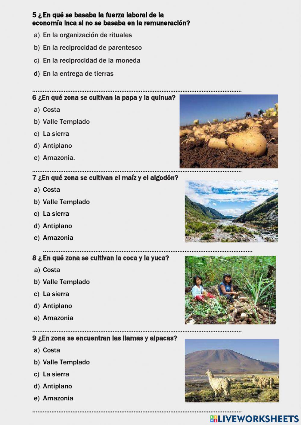 S1 La organización de las culturas andinas 3 bgu