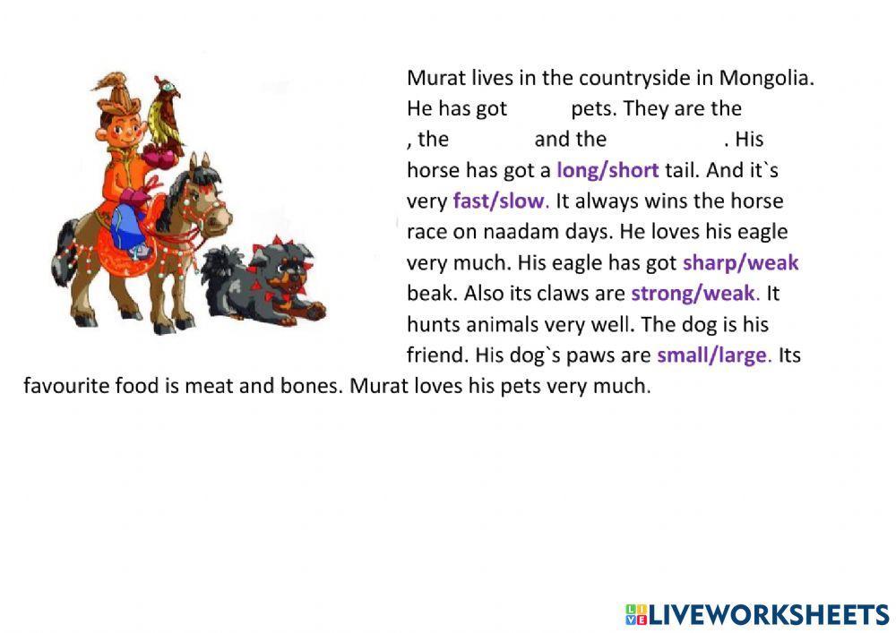 Murat-s pets