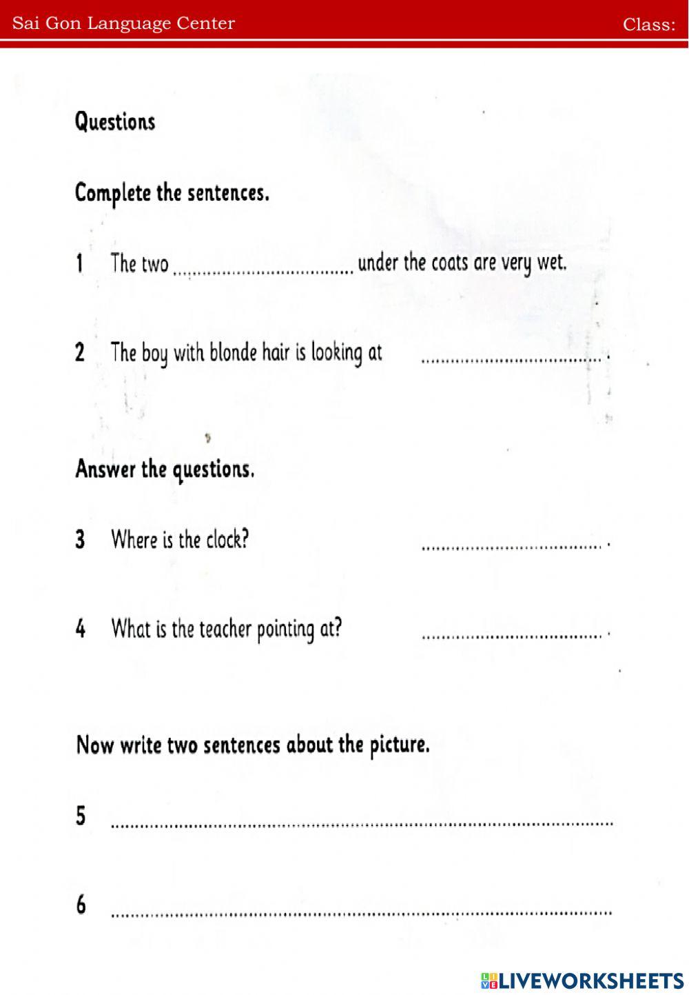 Turnip review term test
