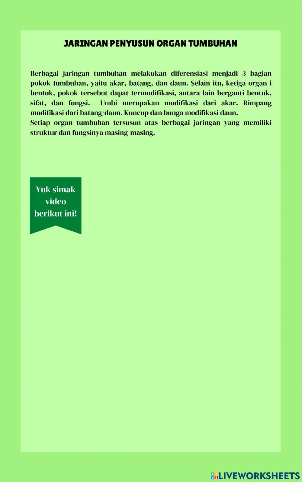 Jaringan Penyusun Organ Tumbuhan