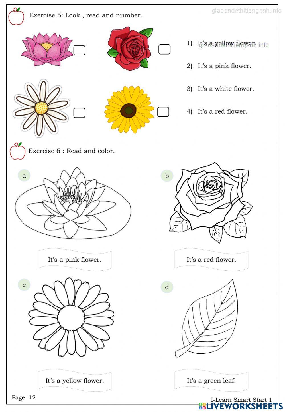 Smart Starts Review 3