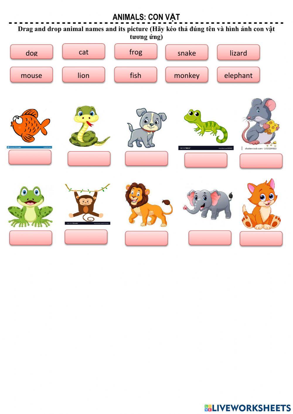 Animals for Grade 1