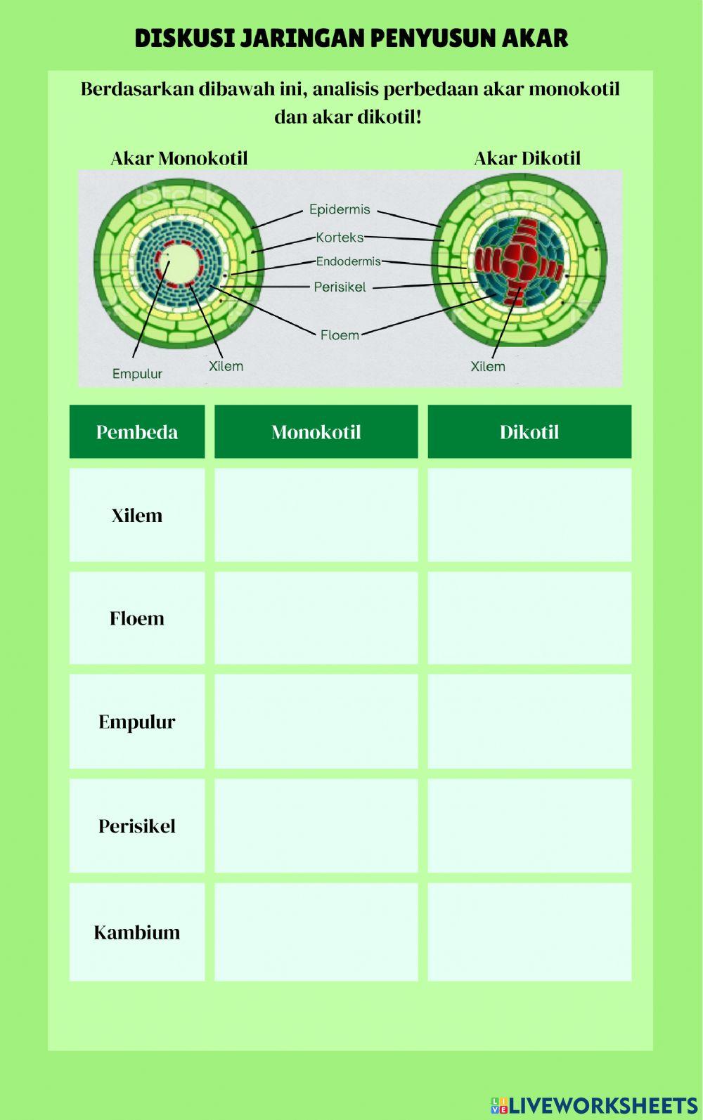 E-lkpd jaringan penyusun organ