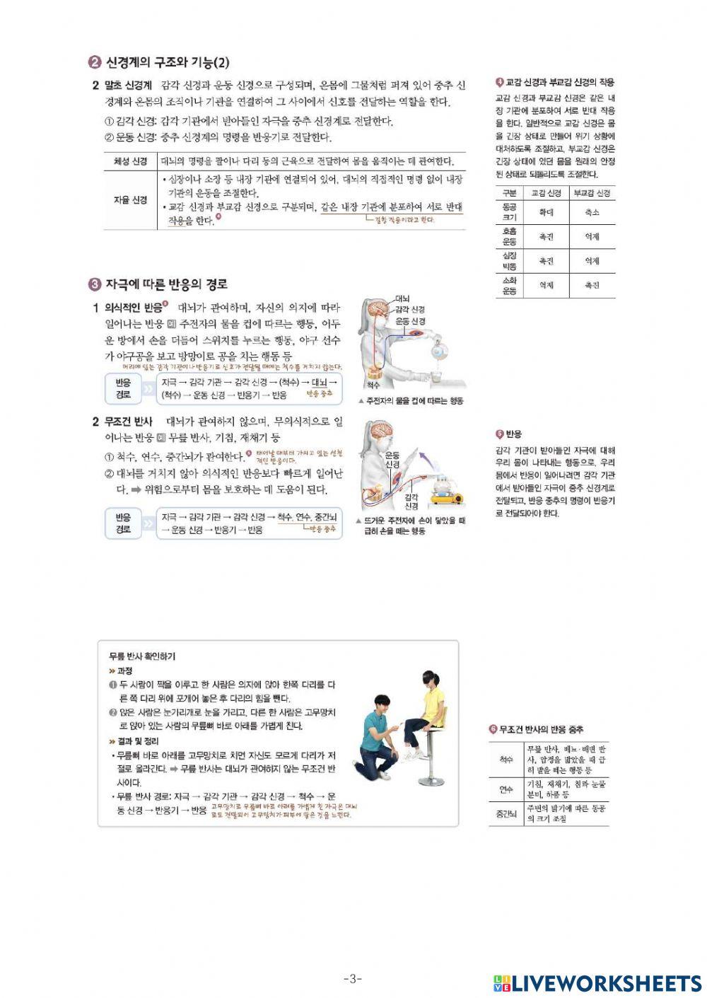 중3-Ⅳ-2-4. 중단원 정리