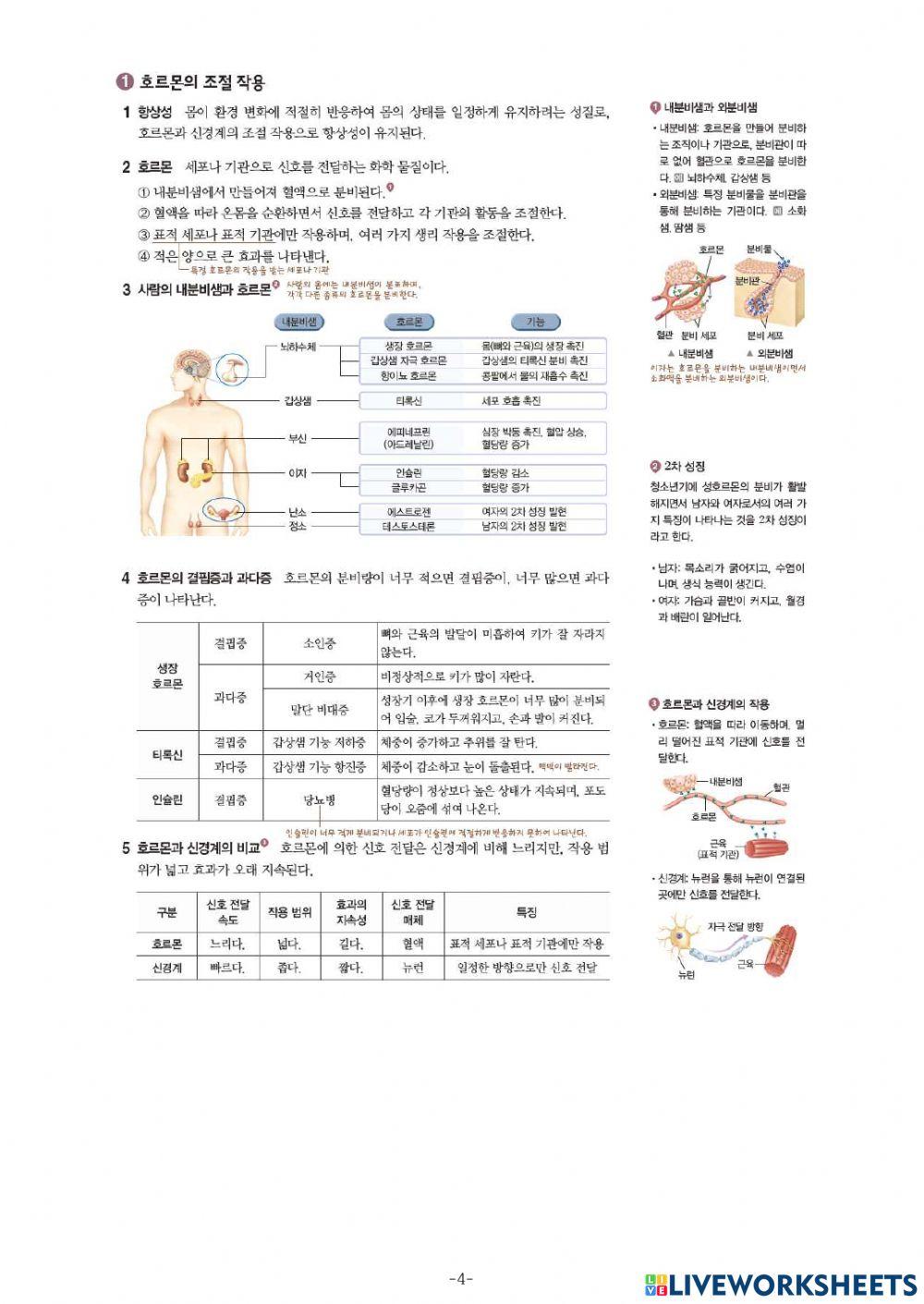 중3-Ⅳ-2-4. 중단원 정리