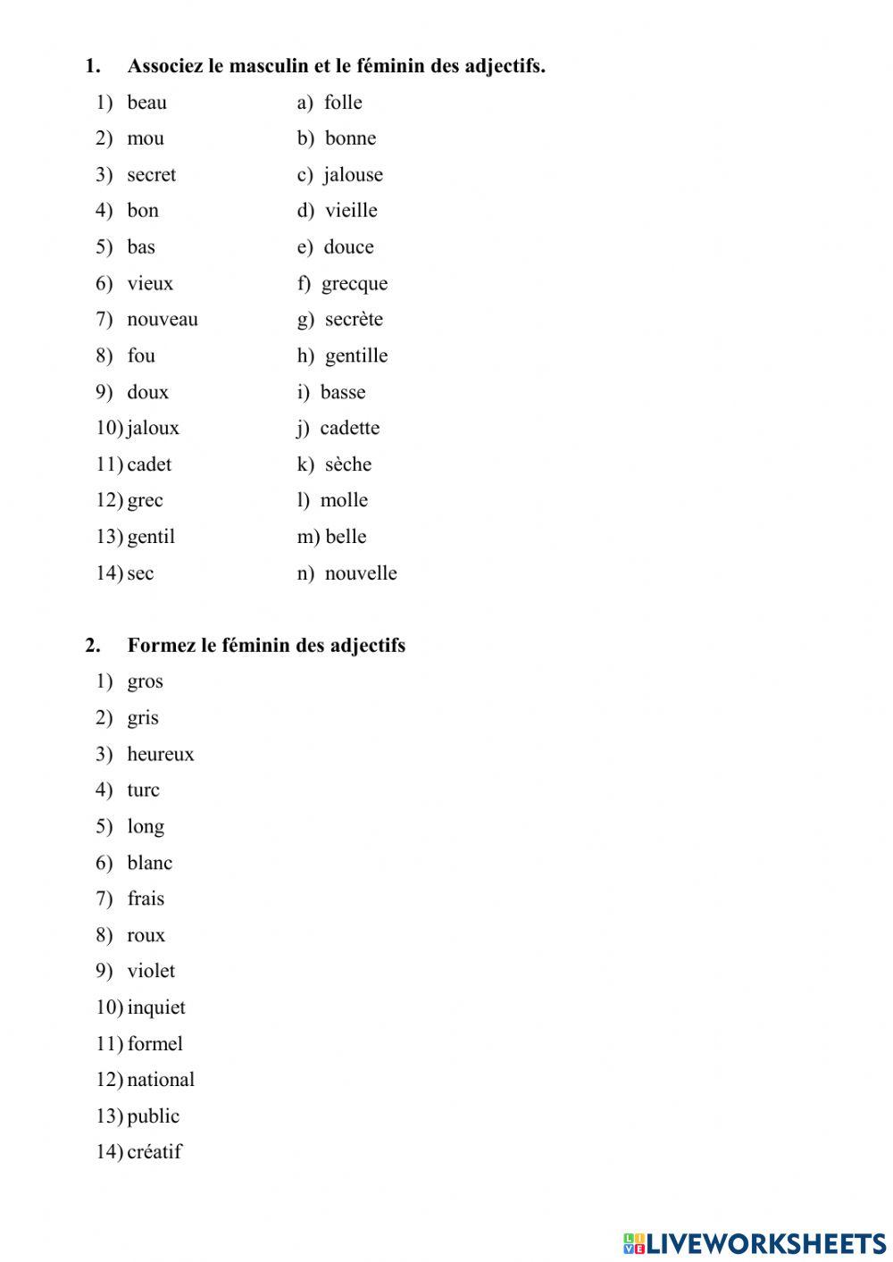 Le féminin des adjectifs
