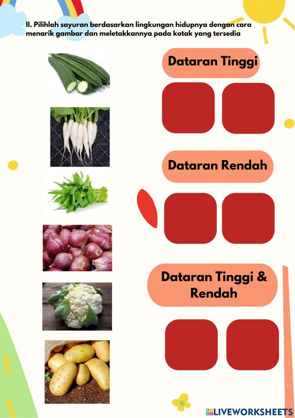 LKPD Identifikasi Tanaman Sayuran