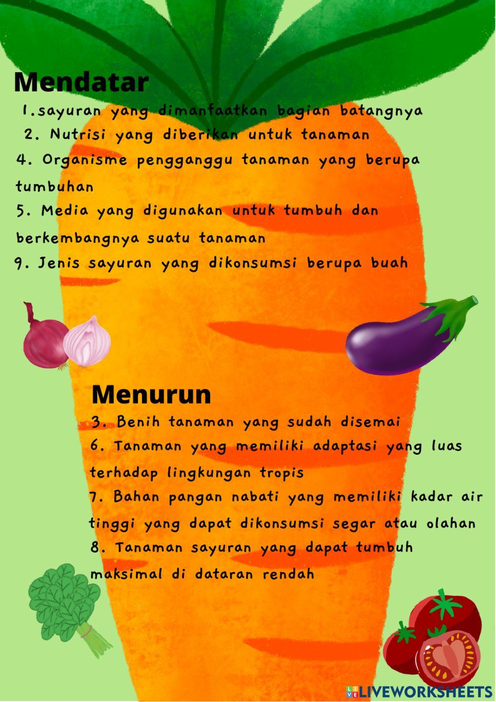 LKPD Identifikasi Tanaman Sayuran