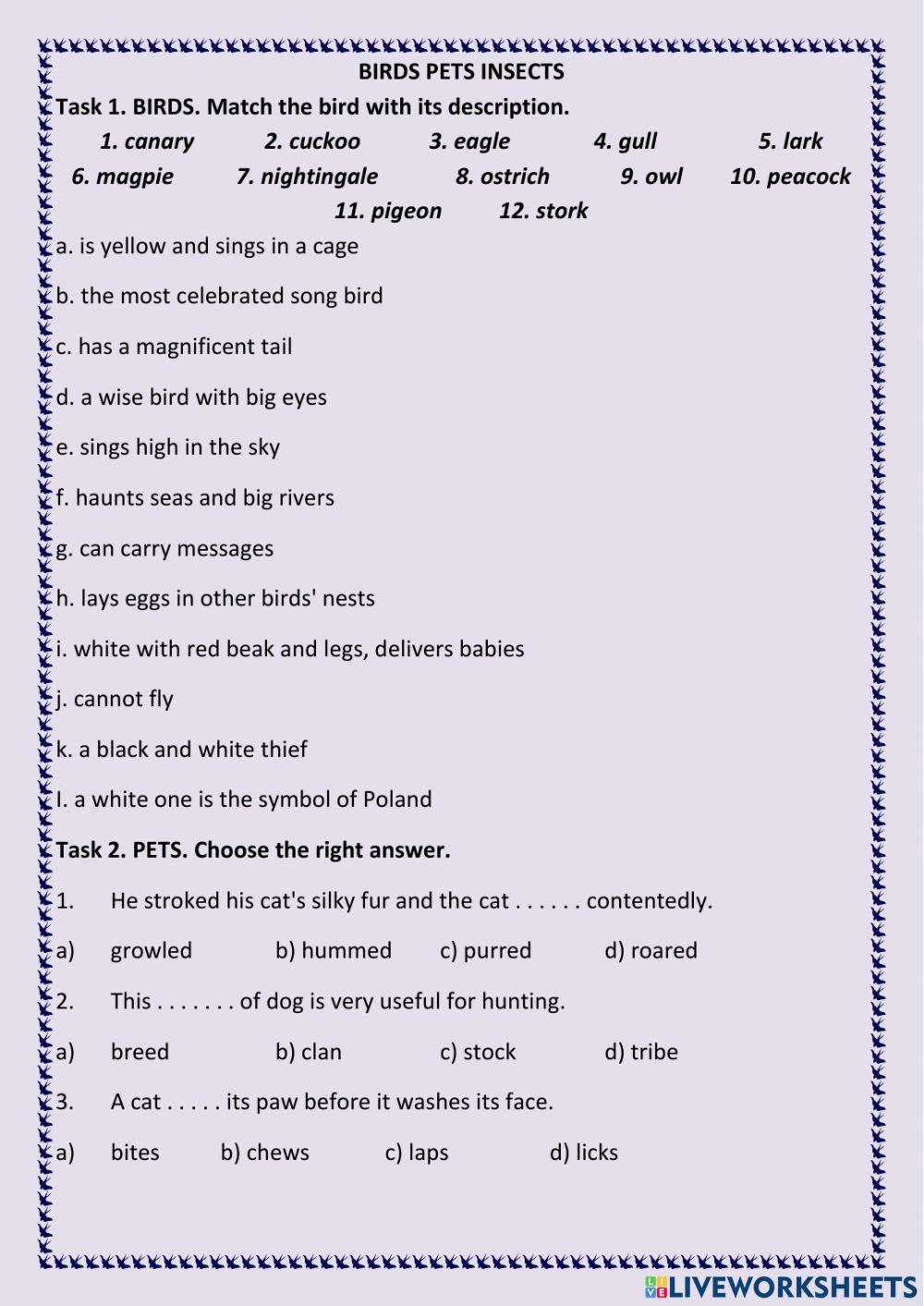 Birds, Insects, Pets.