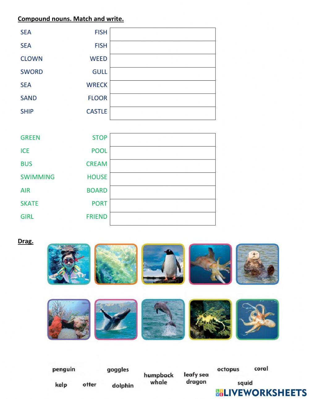 Oxford Discover 3 Units 17-18