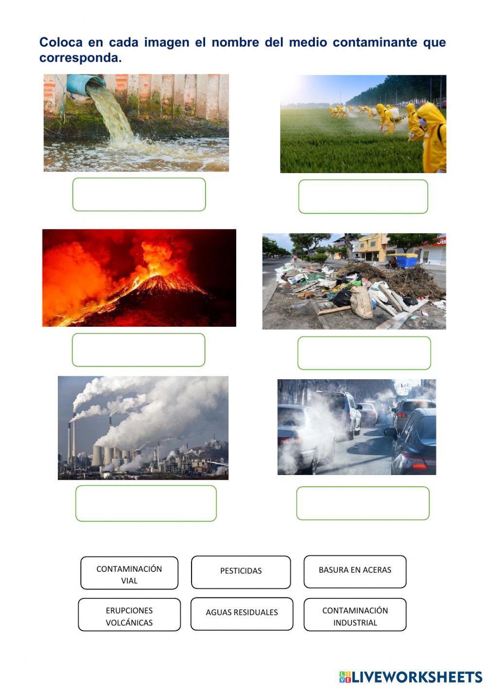 Biodiversidad en Ecuador