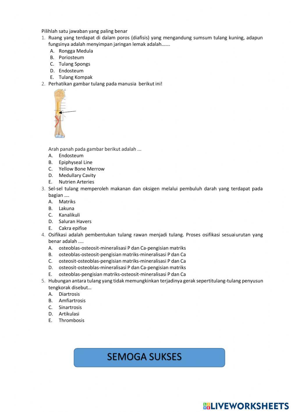 LKPD Sistem Gerak Manusia