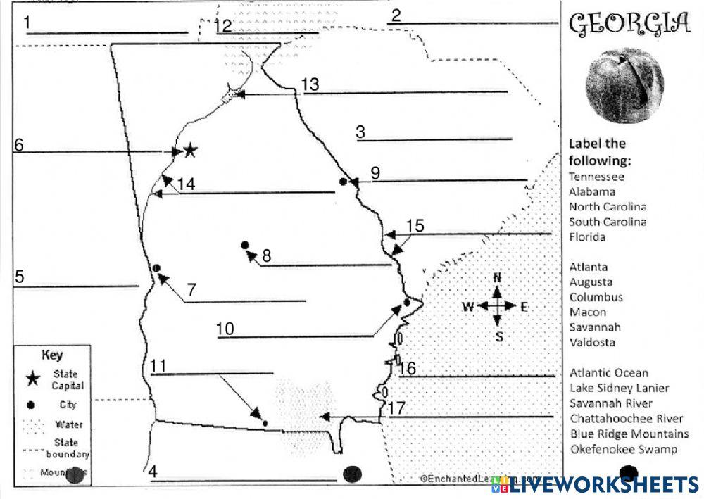 georgia-map-worksheet-live-worksheets