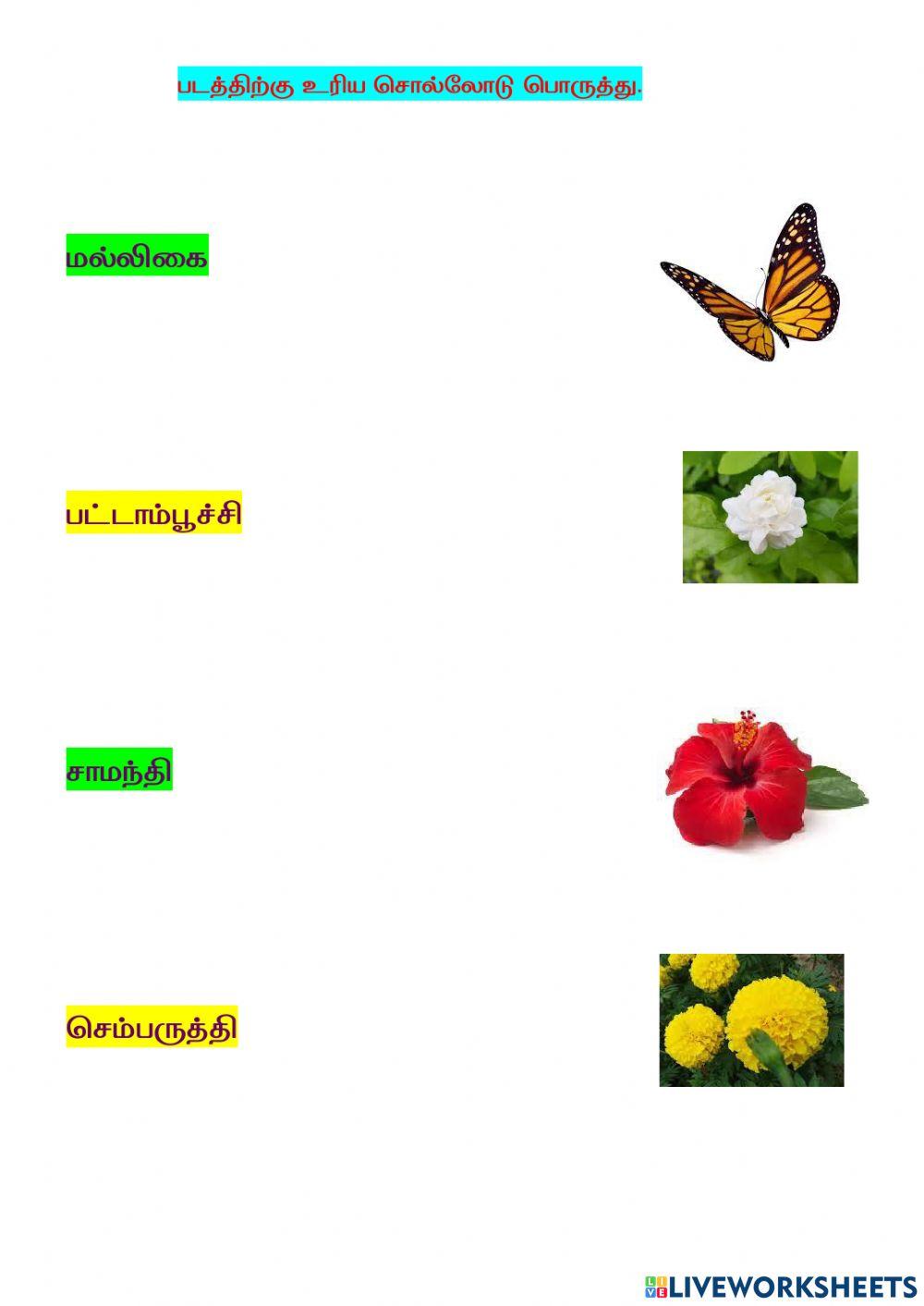 பூப்பூவாய் பூத்திருக்கு 8.1 என்னோடு விளையாடவா -2