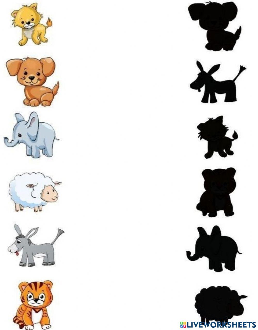 Animale Domestice - potrivire