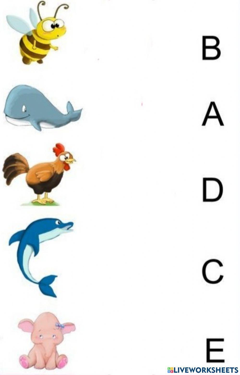 A, B, C, D - spune cu ce sunet începe...