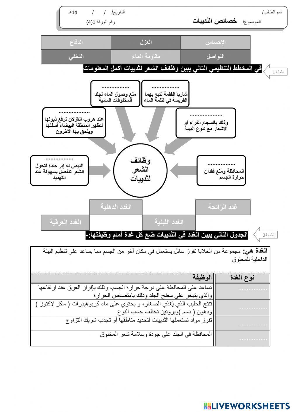 خصائص الثدييات