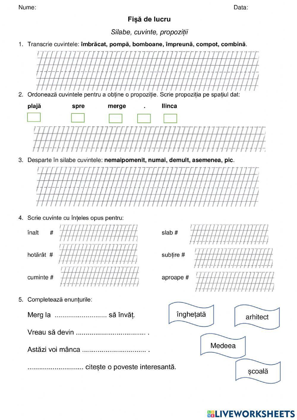 Fișă lucru - silabe, cuvinte, propoziții, cls I