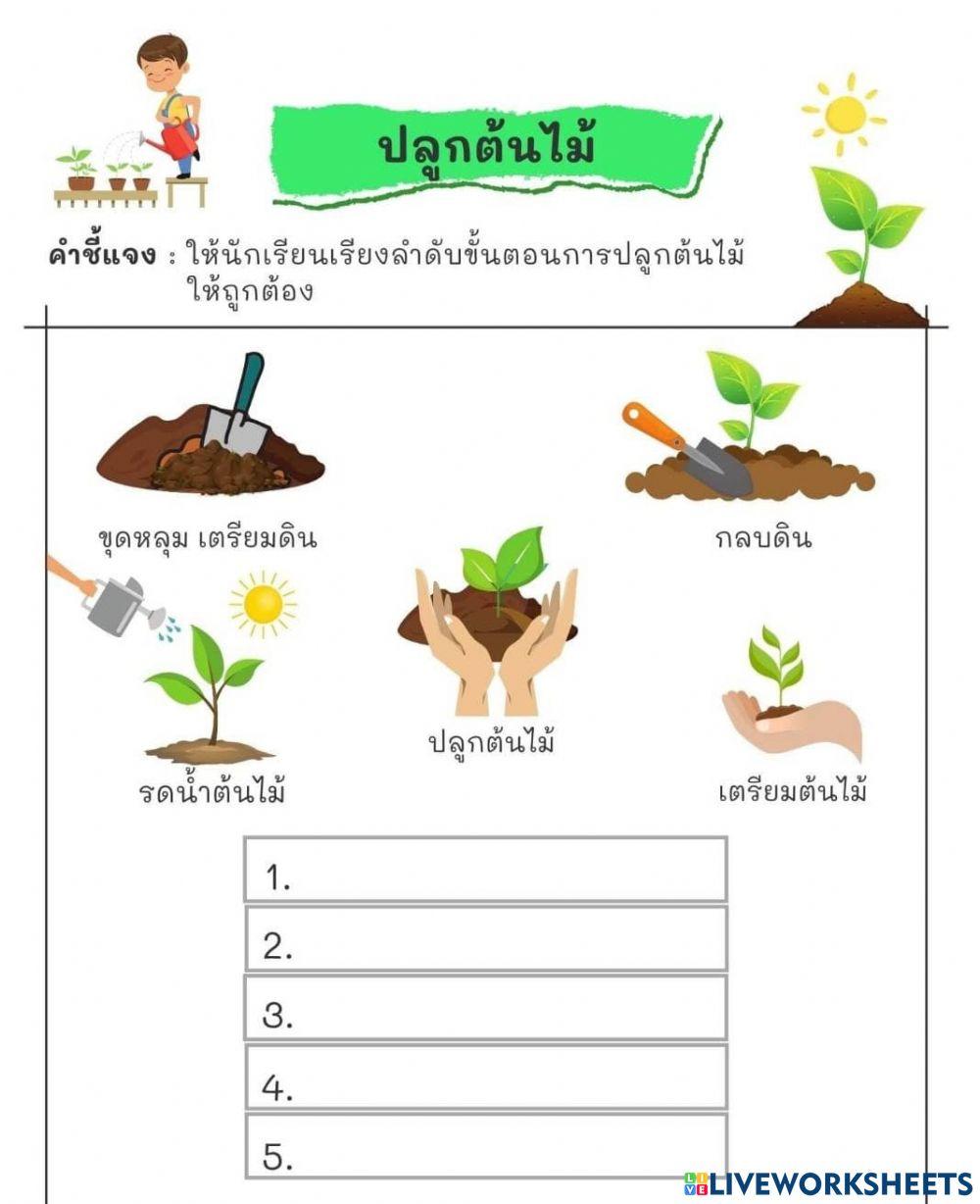 ปลูกต้นไม้