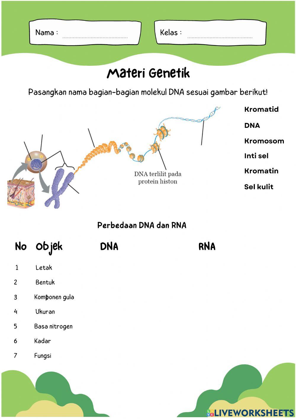 Materi Genetik