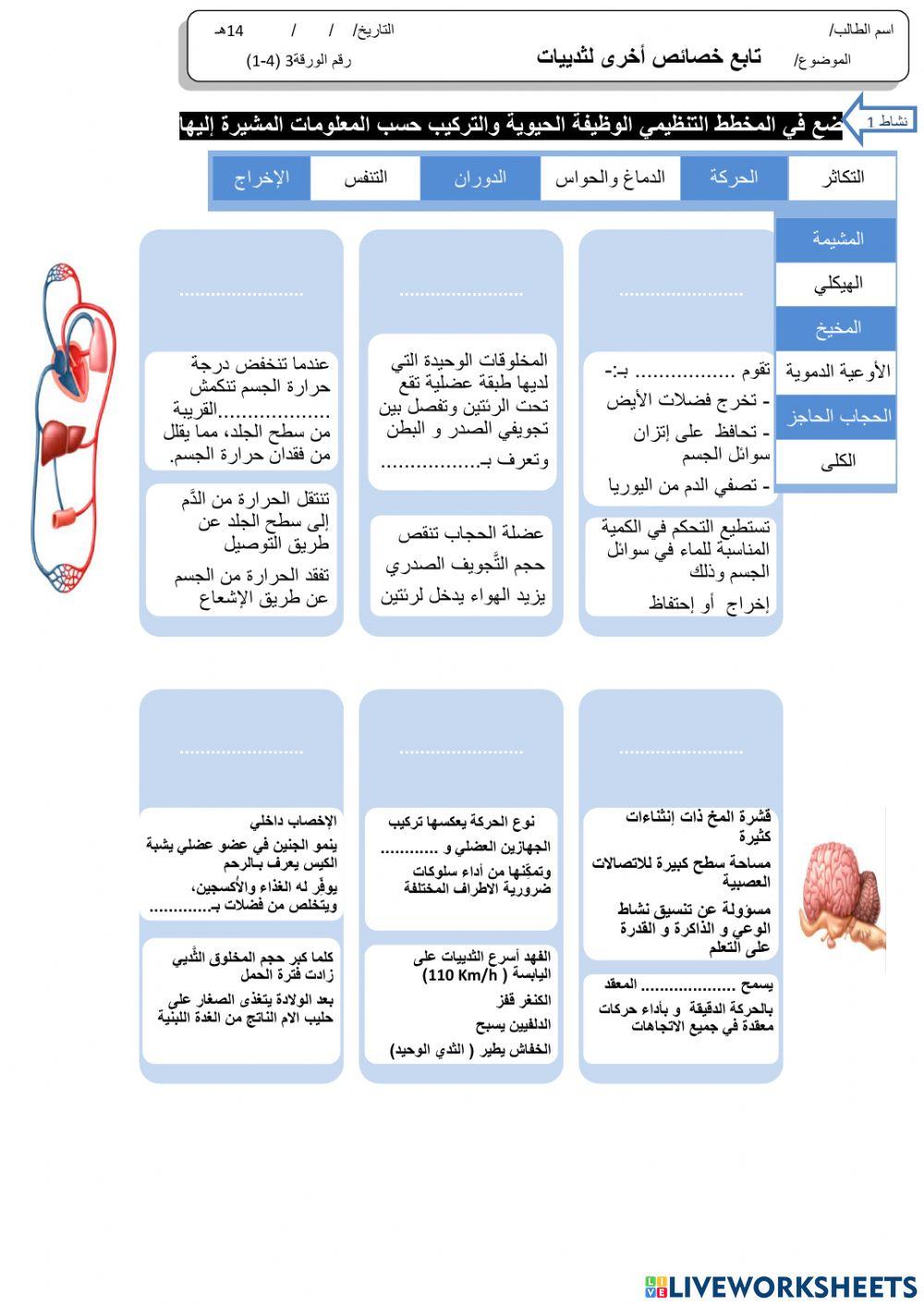 تابع خصائص أخرى لثدييات