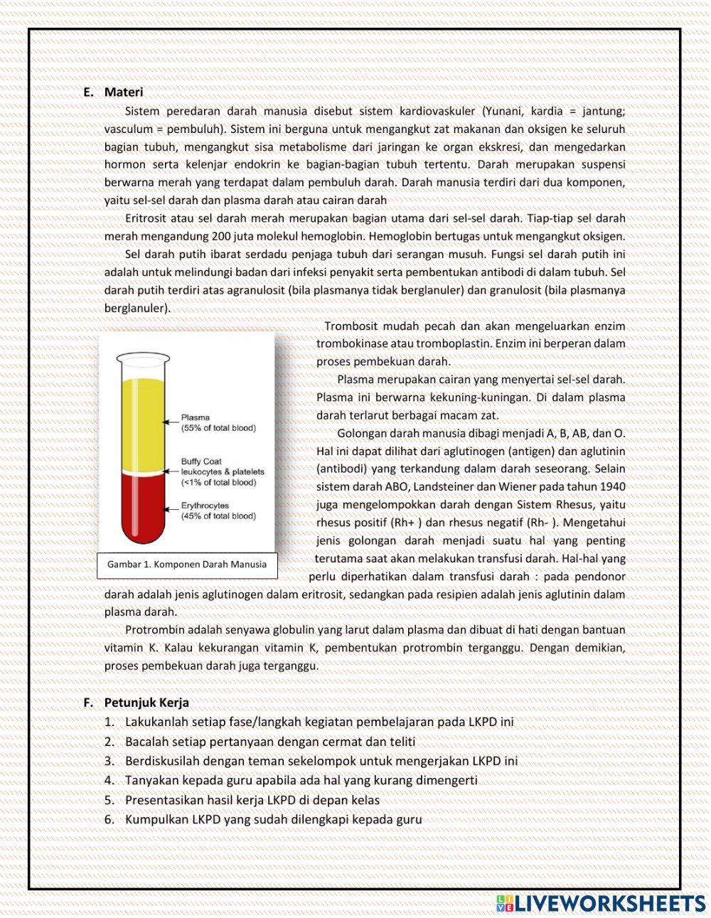 Rpp sistem sirkulasi darah part 1 pbl