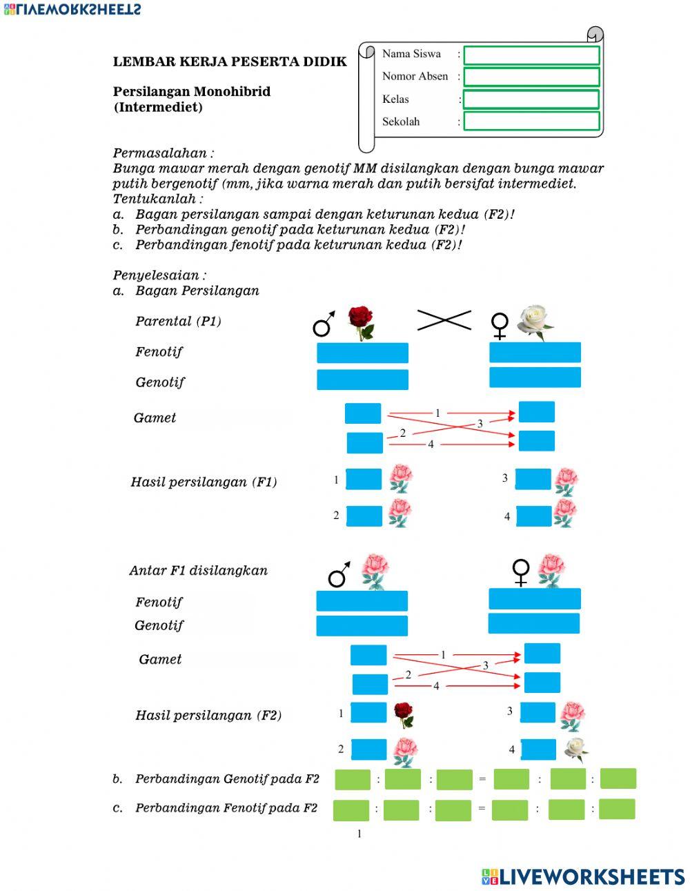 Persilangan Intermediaet
