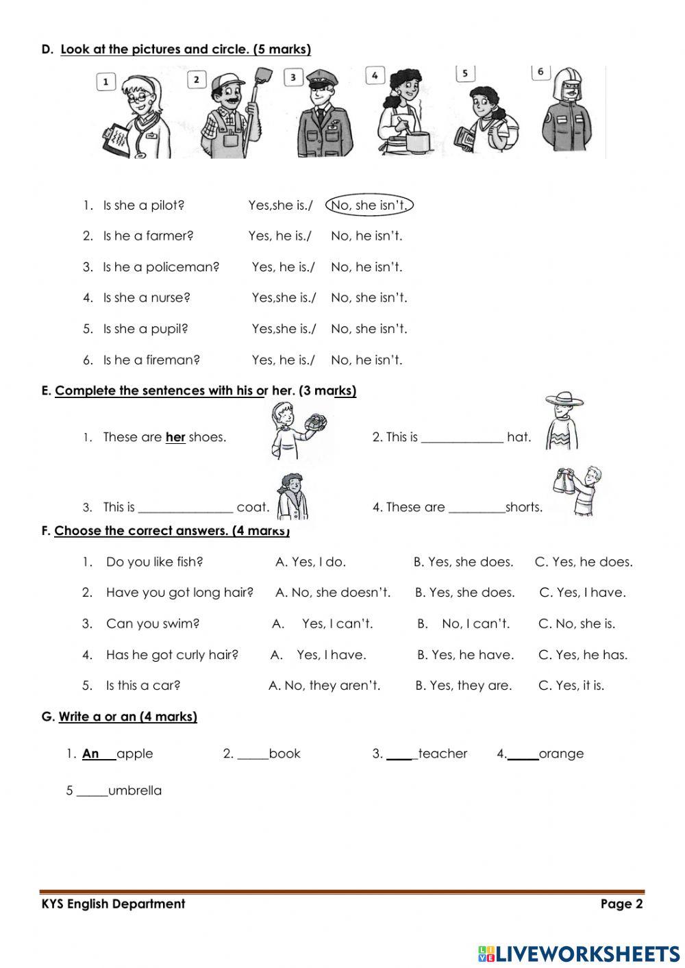 Grammar and Vocabulary