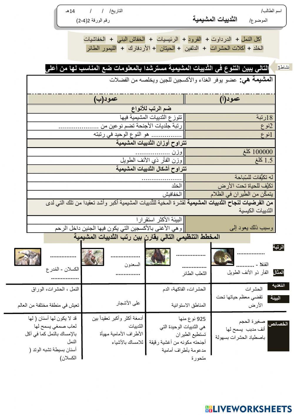 الثدييات المشيمية