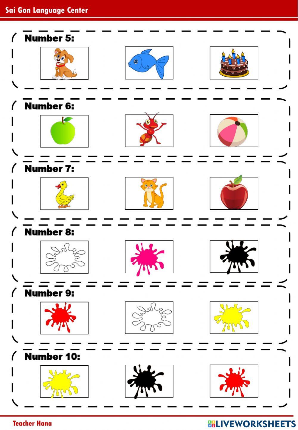 PPD A2 - Red, yellow, green, blue, white, black