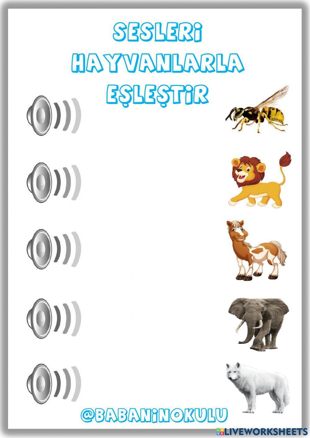 SESLİ - SESSİZ SESLİ - SESSİZ