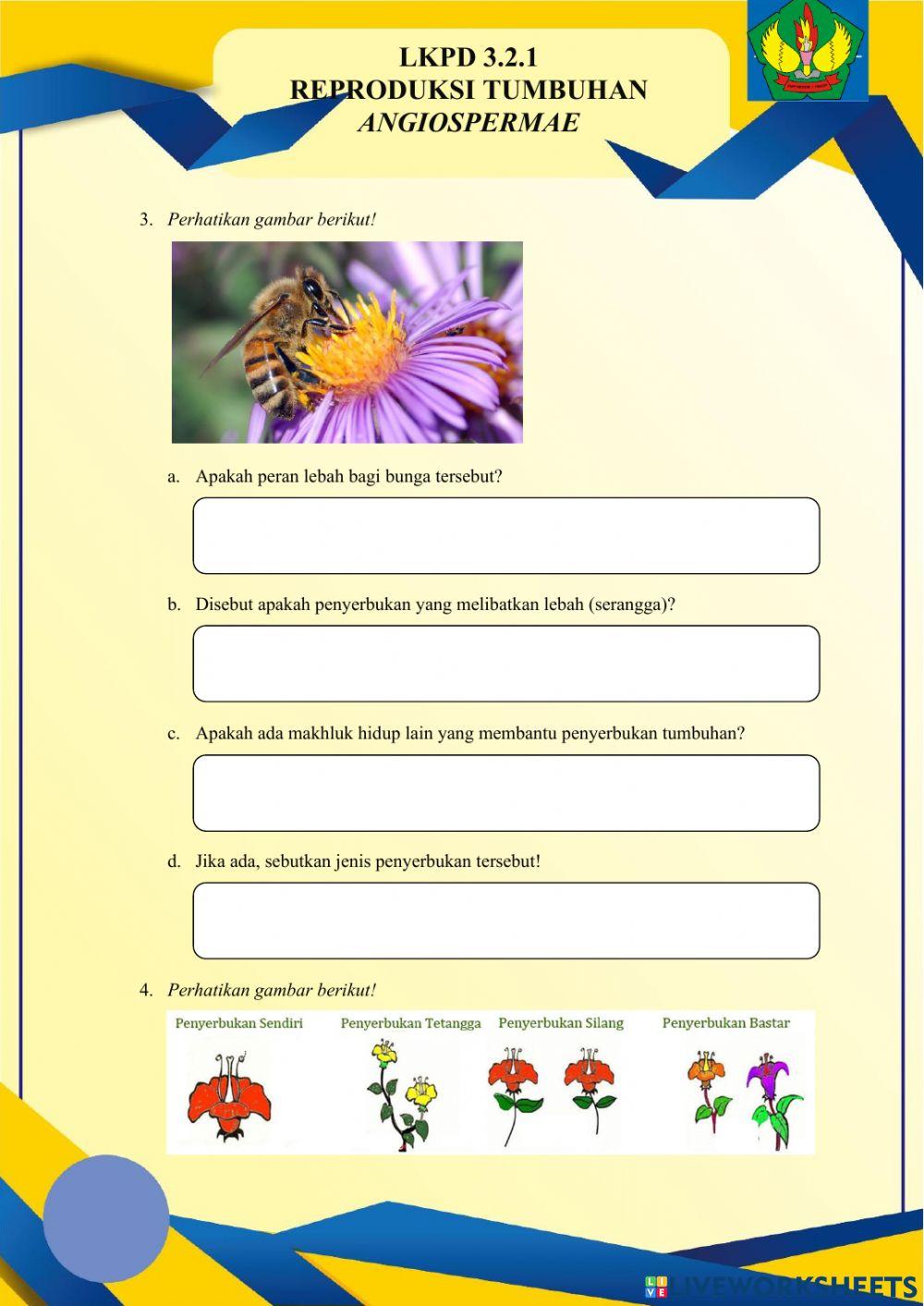 Sistem Reproduksi Tumbuhan