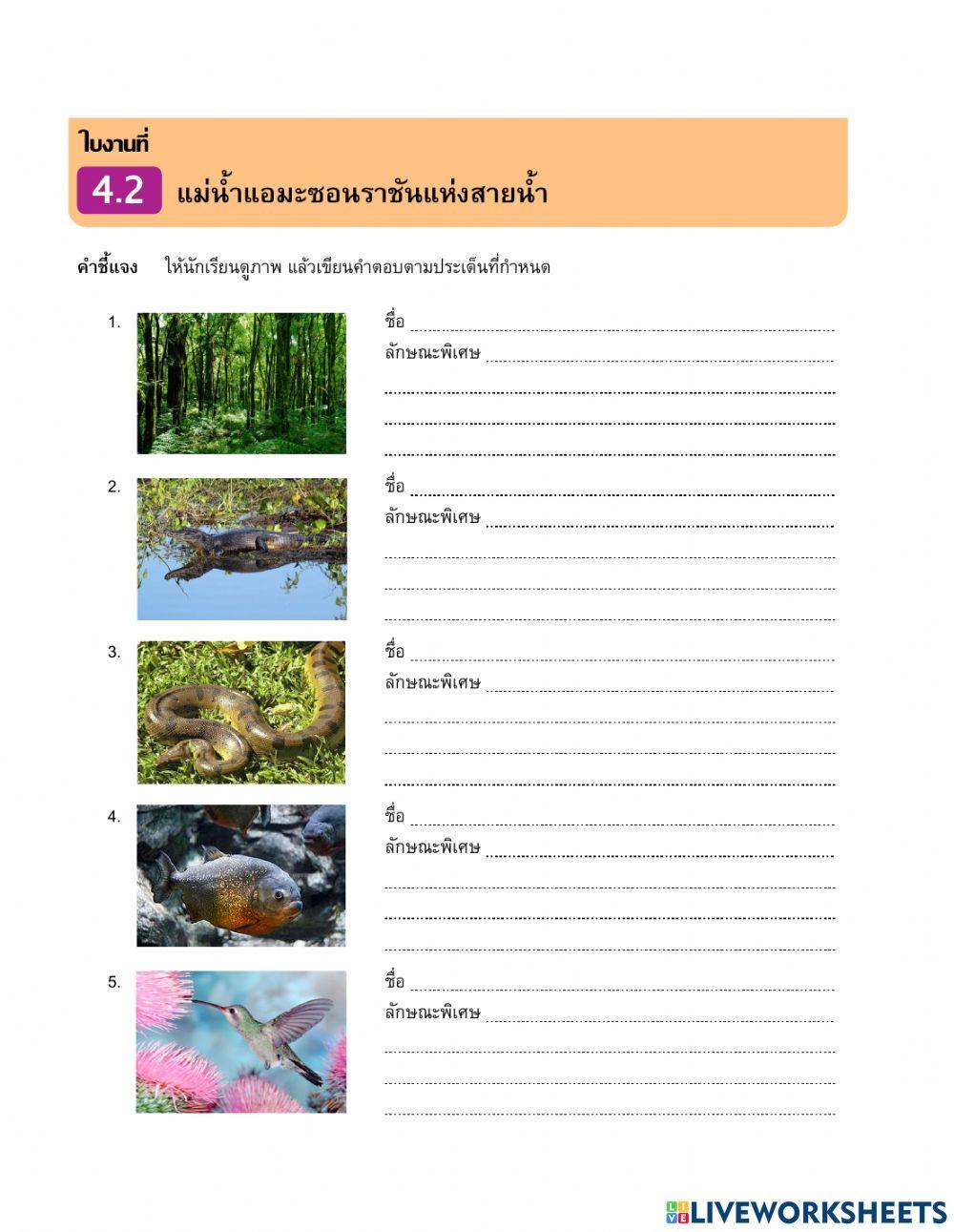 ภูมิประเทศอเมริกาใต้