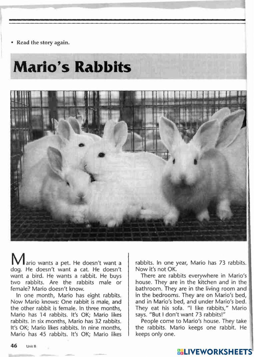 Mario's Rabbits