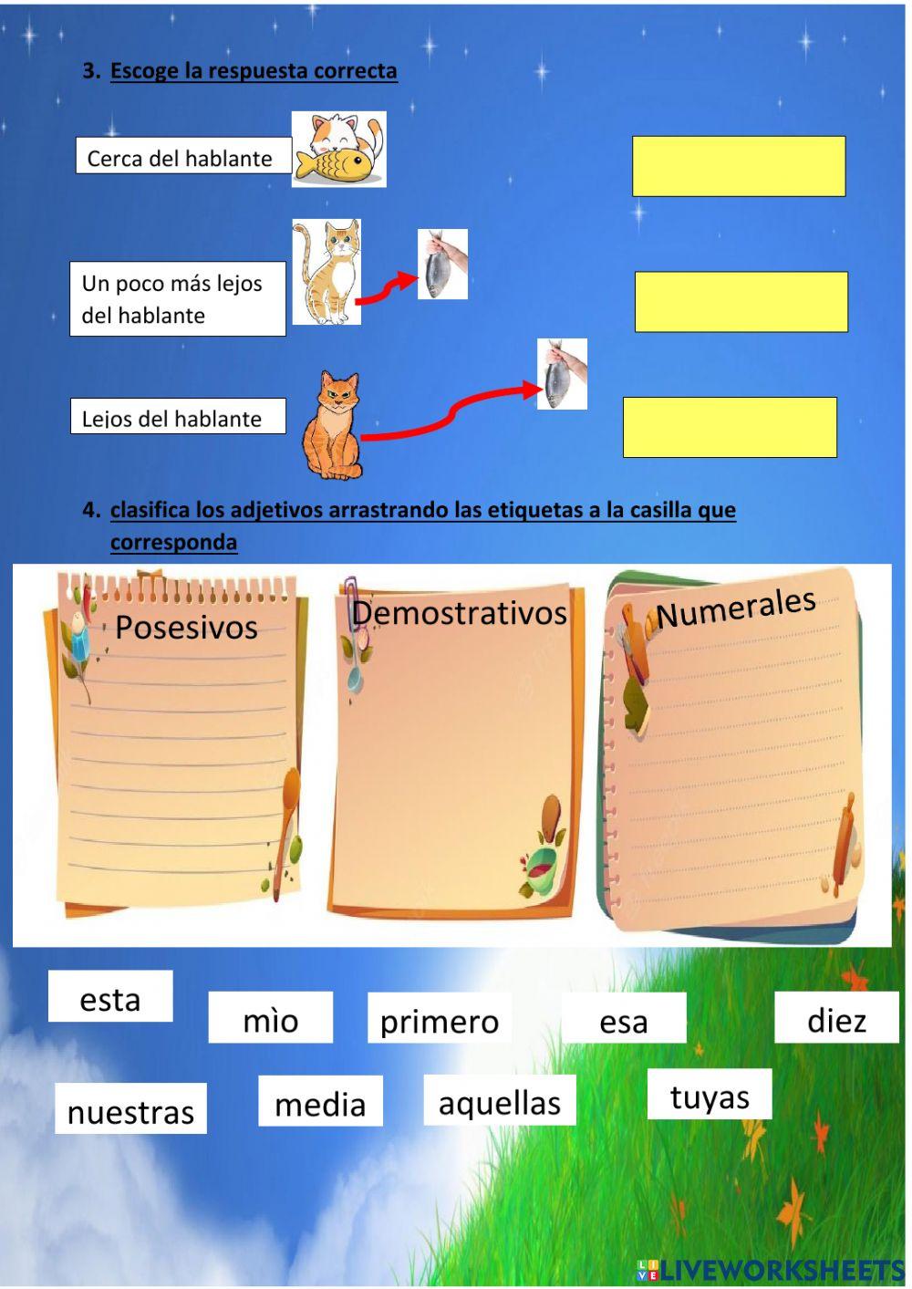 Clases de adjetivos