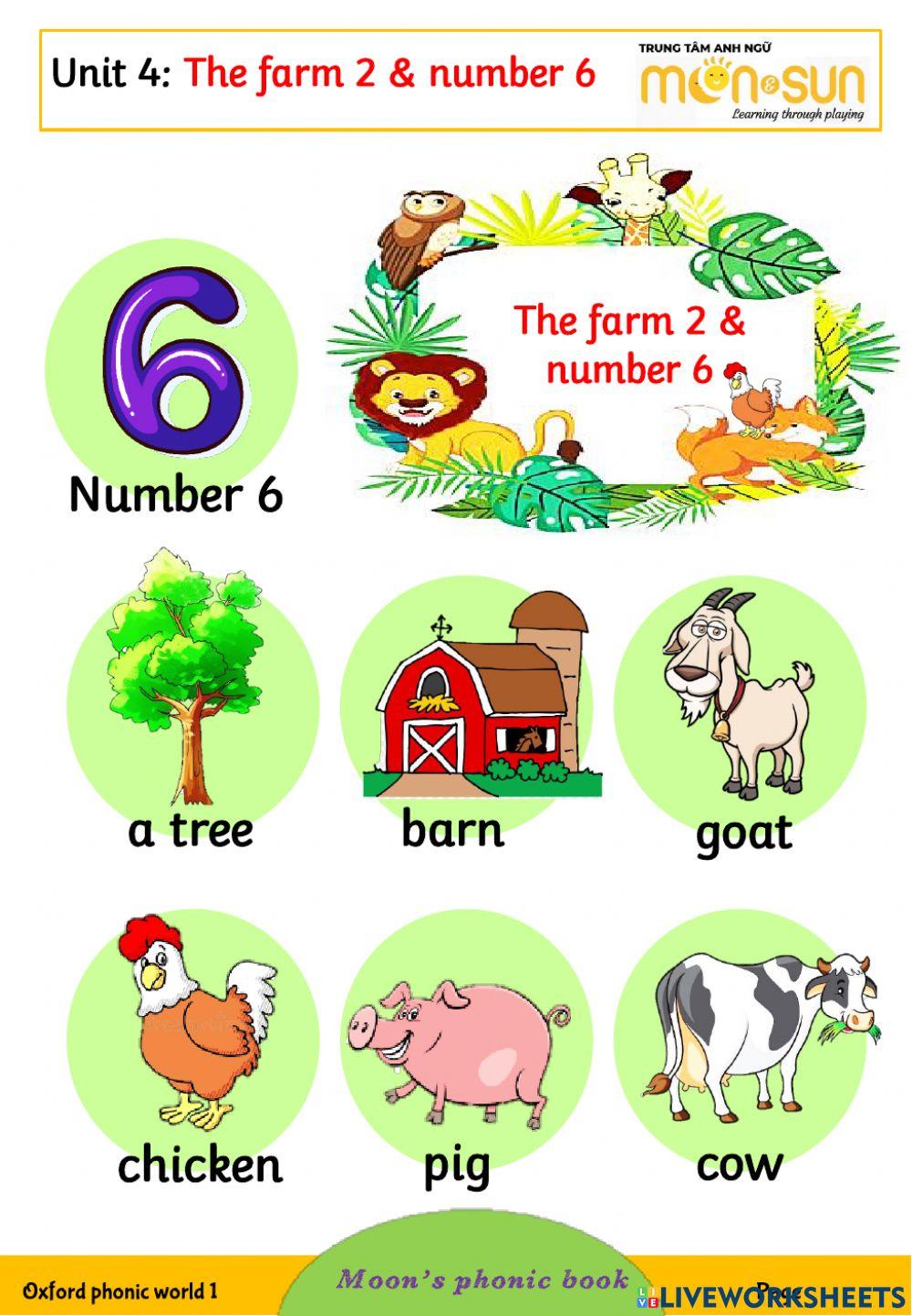 Phonics Animals and numbers 6