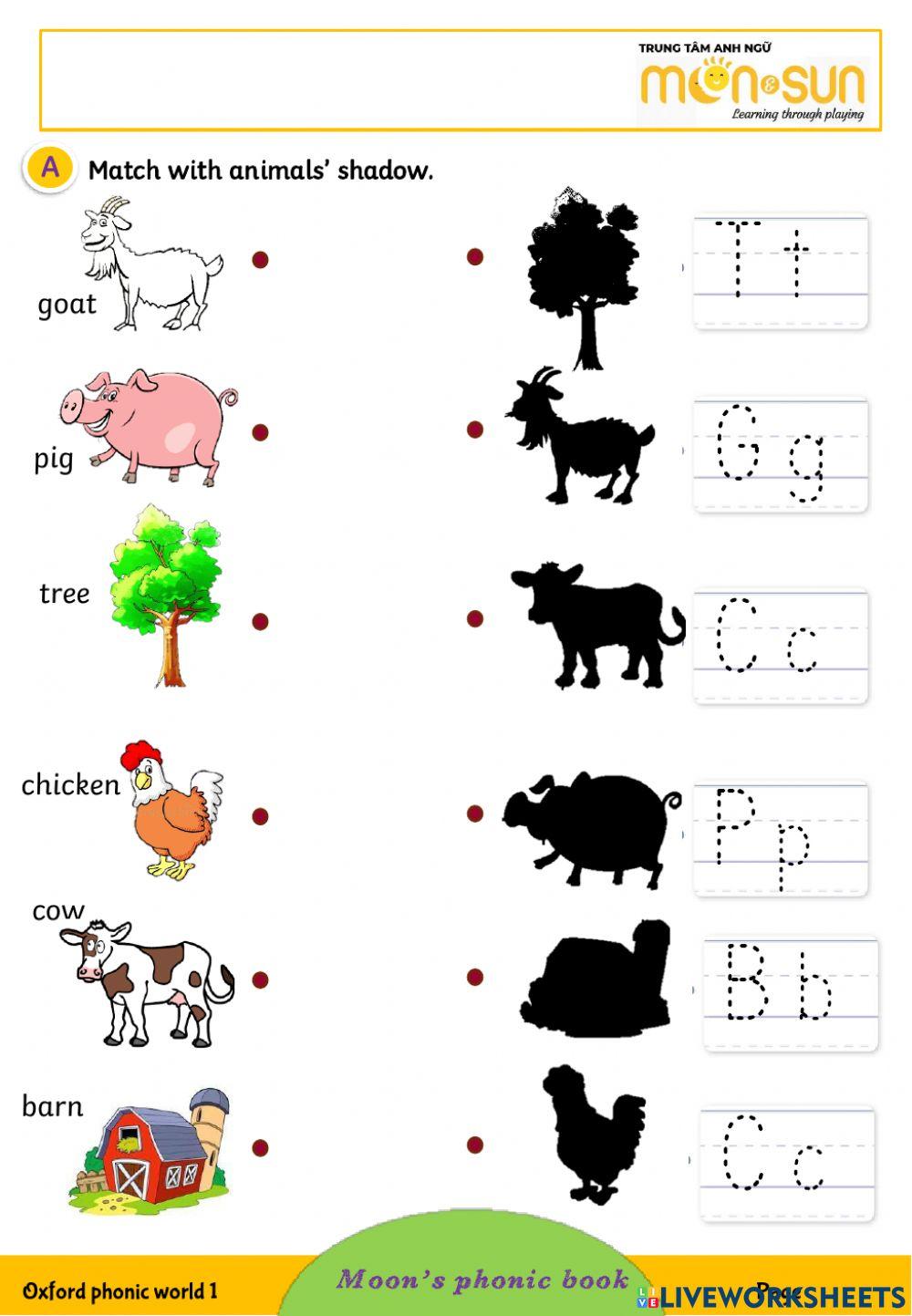 Phonics Animals and numbers 6