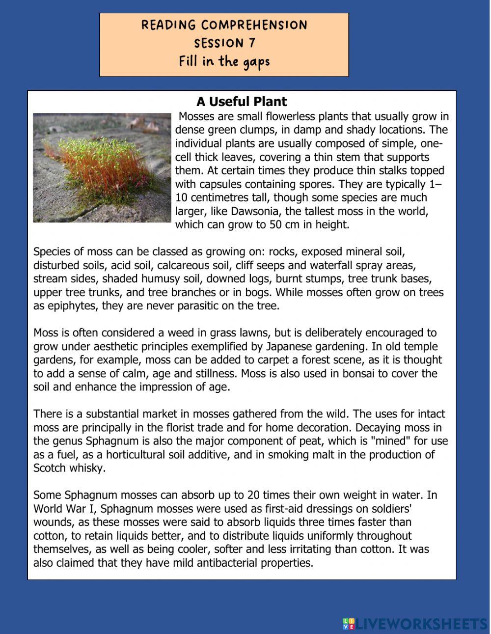 Reading comprehension online exercise for a2 live worksheets
