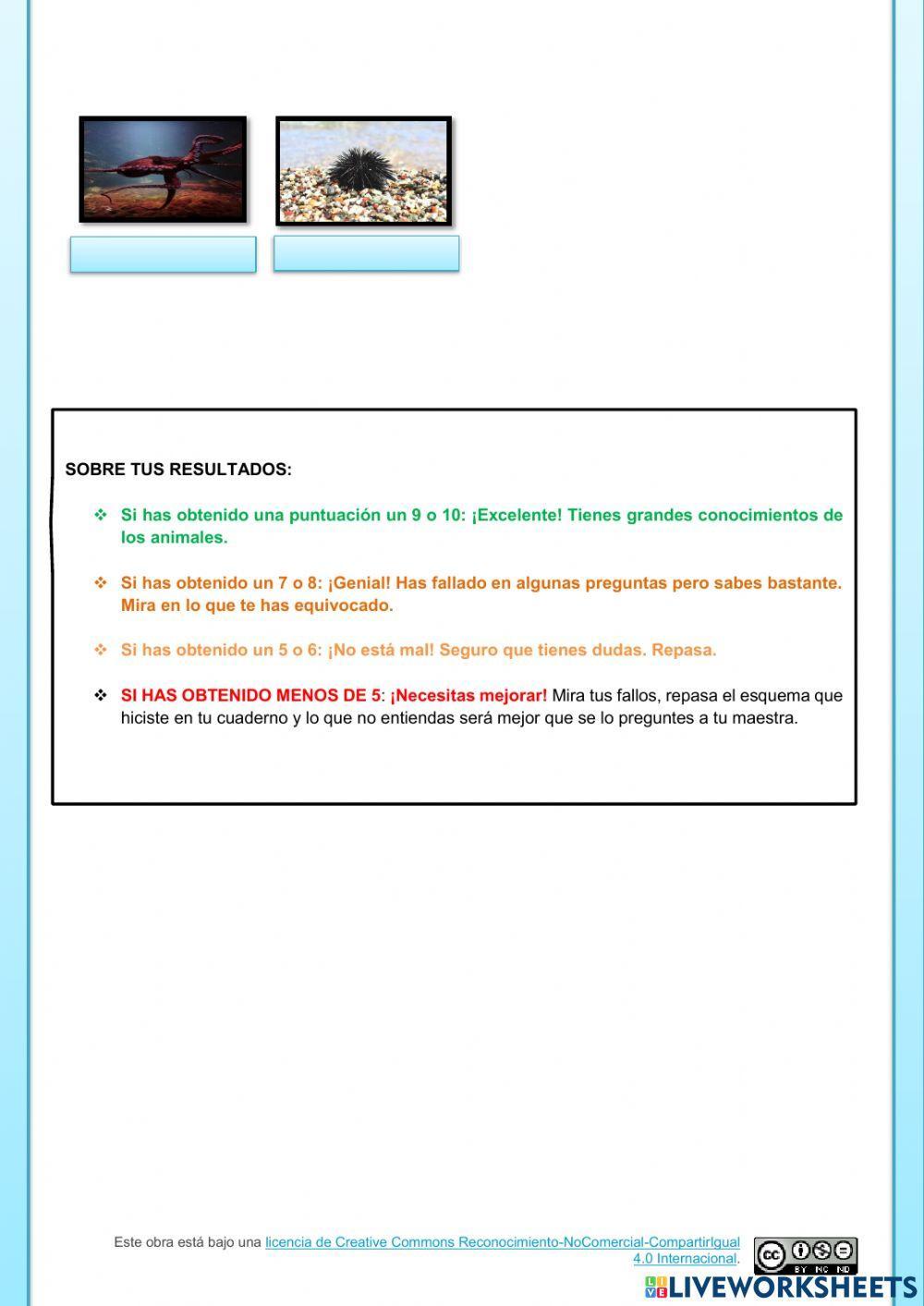 El reino de los animales