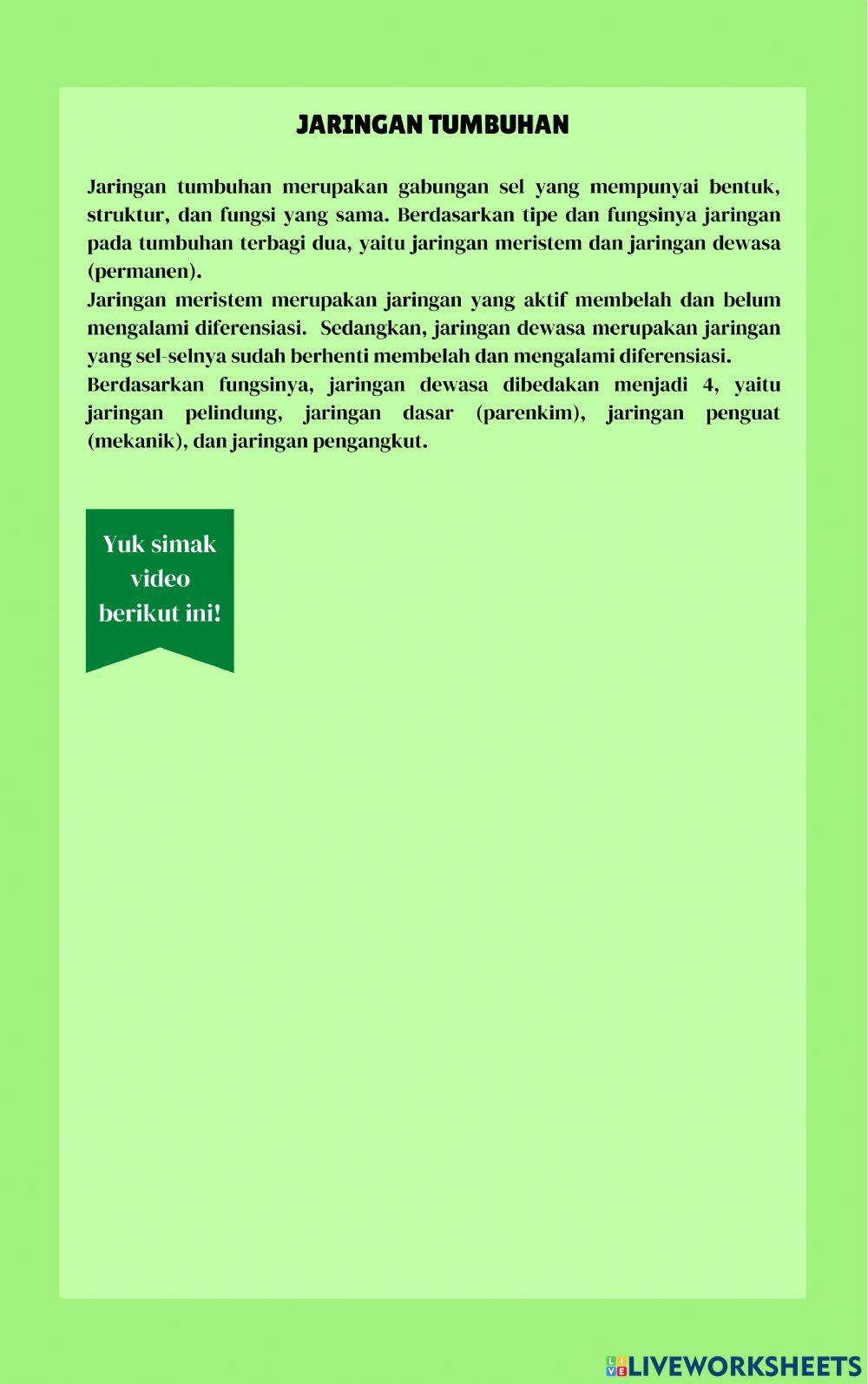 Jaringan Dewasa Tumbuhan