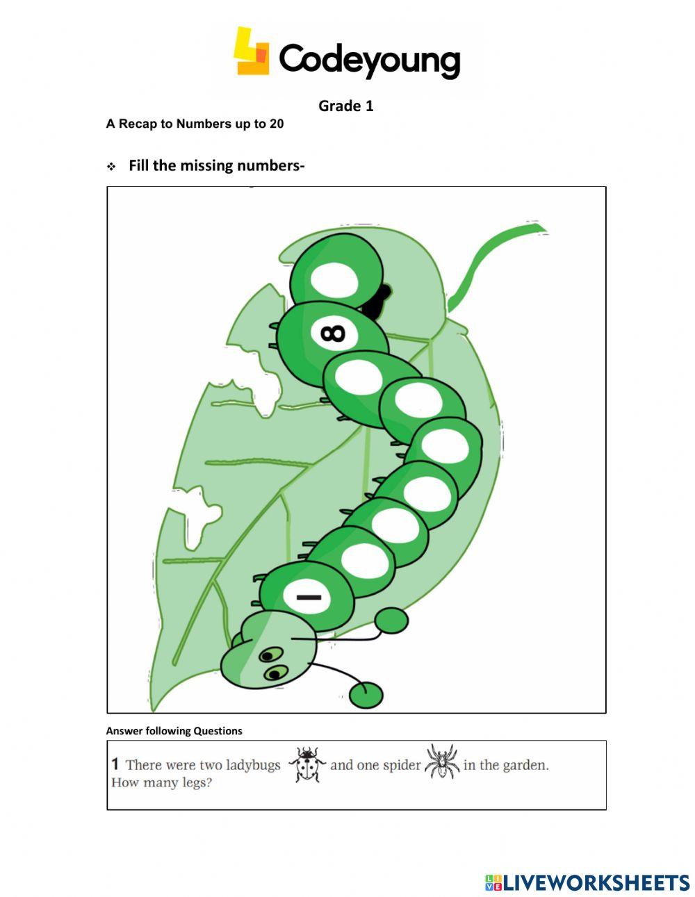 A Recap to Numbers up to 20-Advance WS
