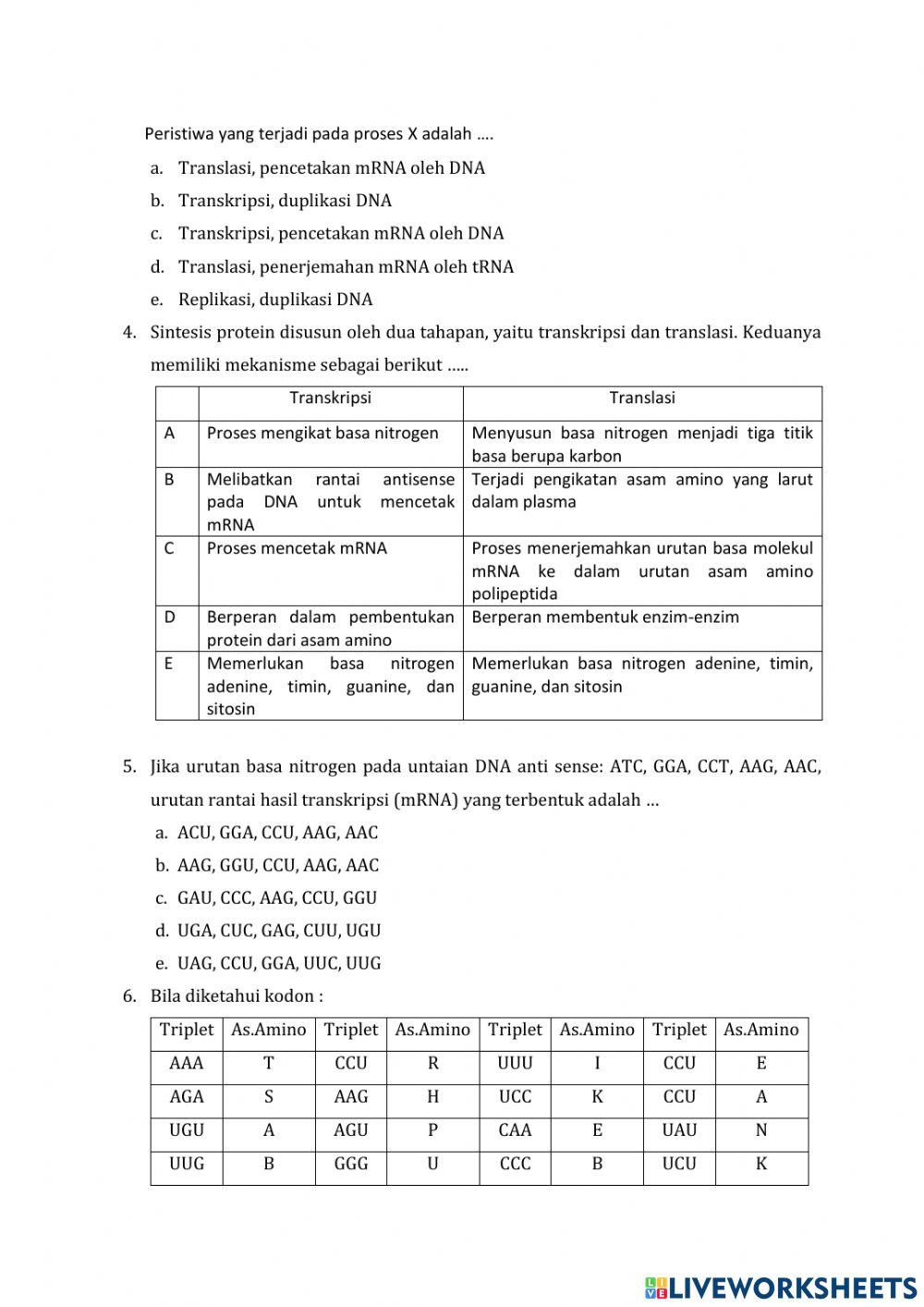 Evaluasi sintesis protein