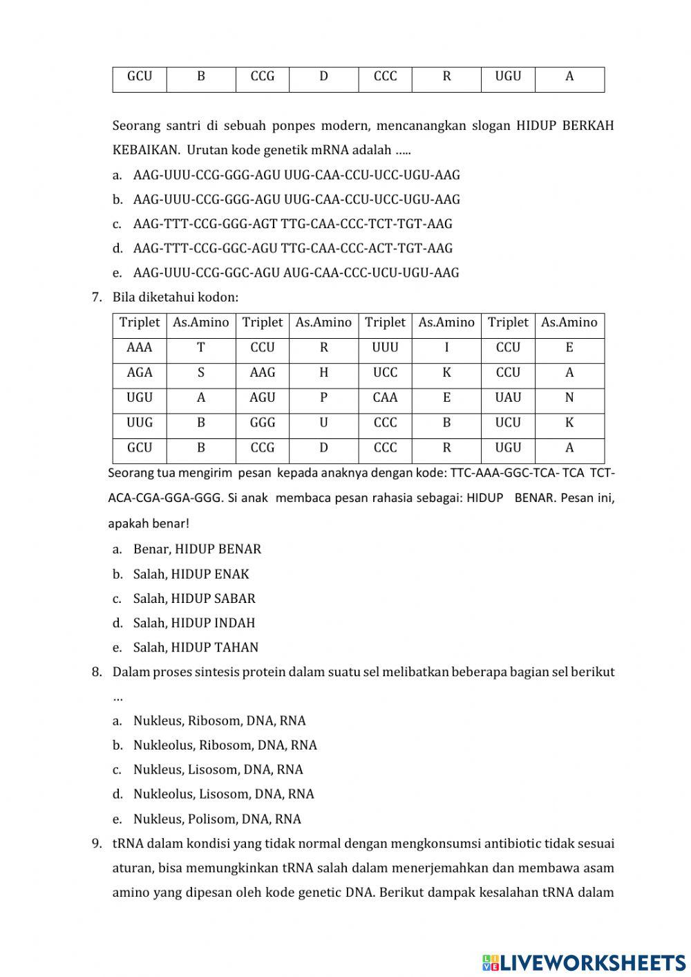 Evaluasi sintesis protein