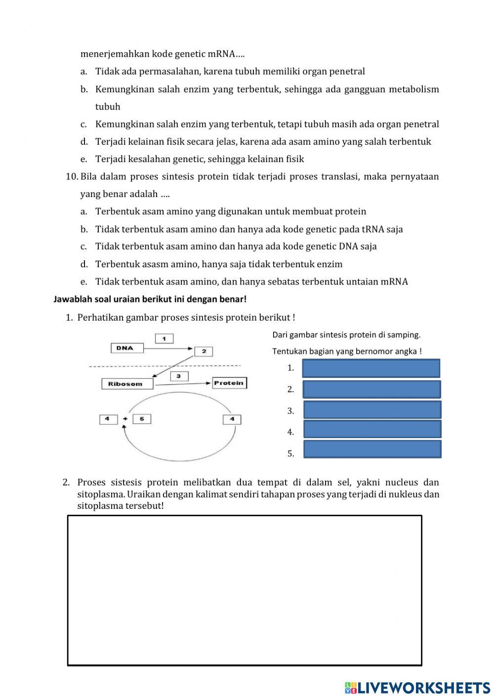 Evaluasi sintesis protein