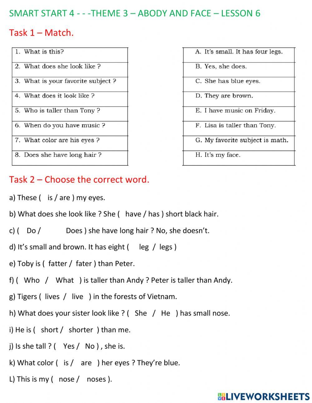 Smart start 4 - theme 3 - review