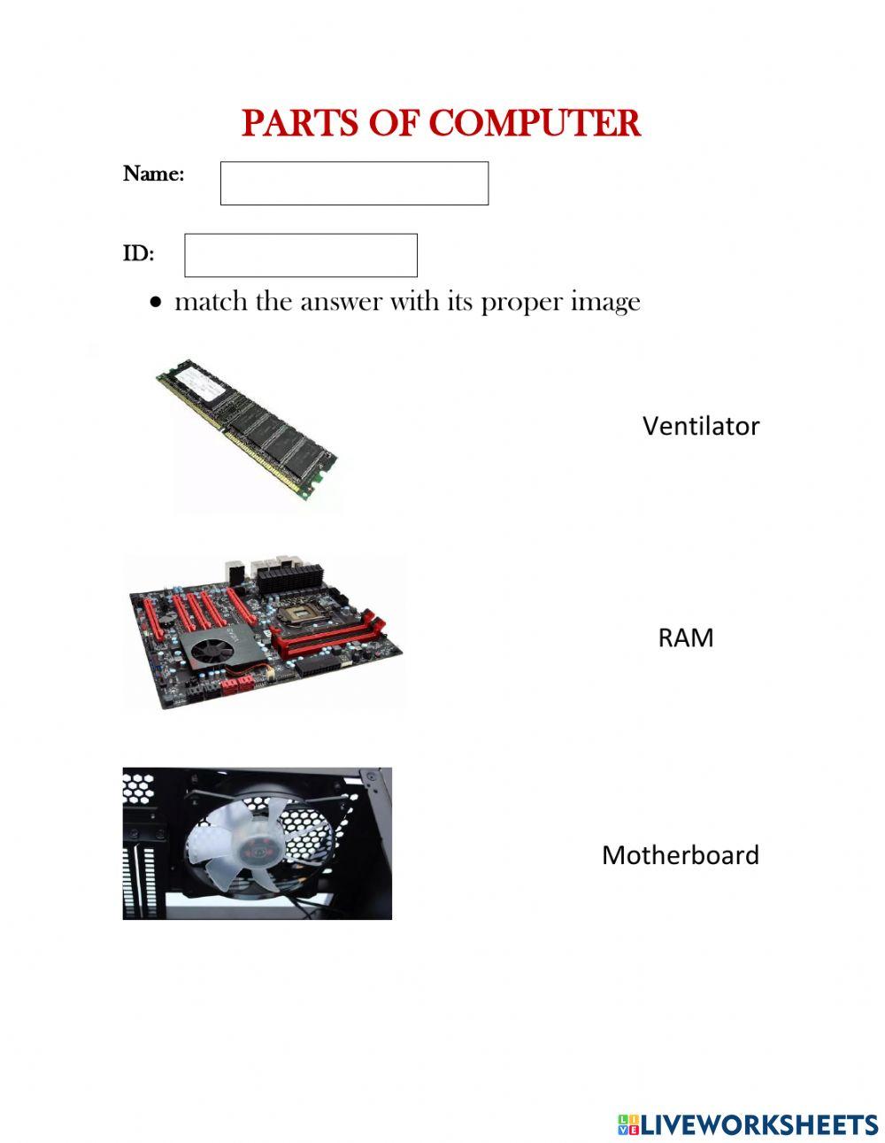 Parts of the computer free worksheet | Live Worksheets