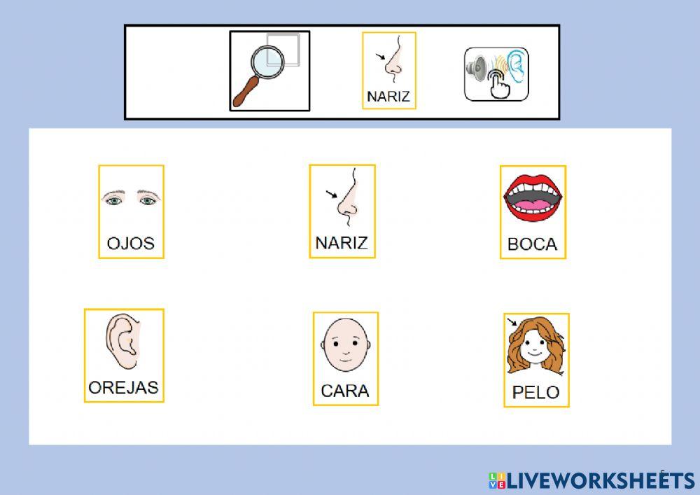 Canción mi carita redondita