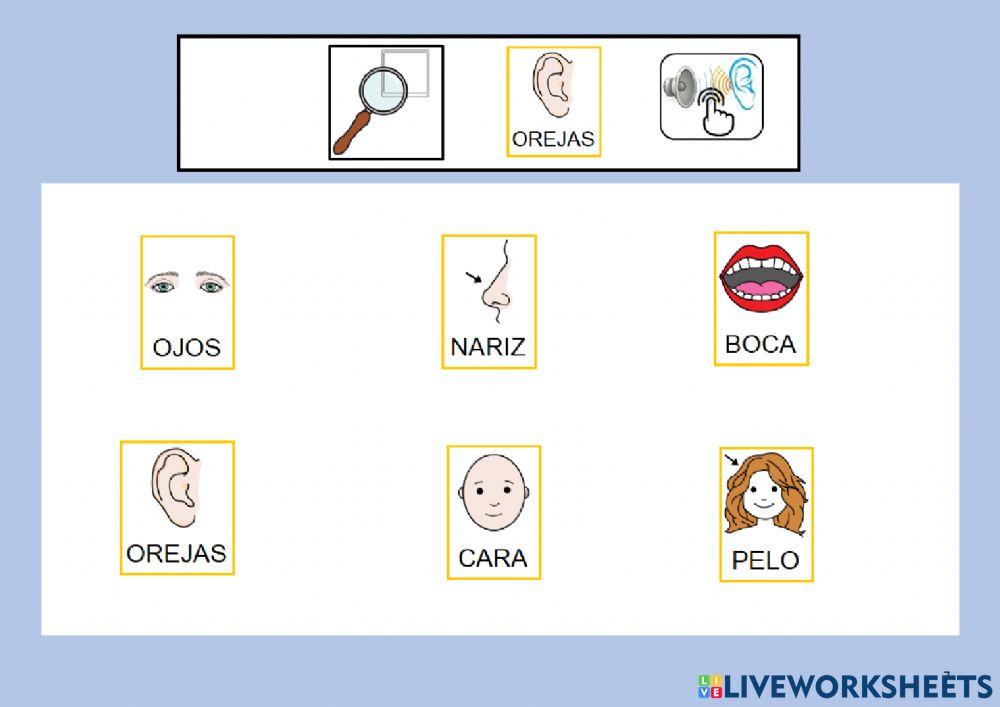 Canción mi carita redondita