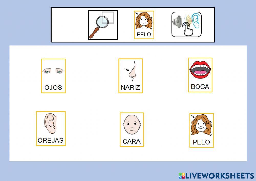 Canción mi carita redondita